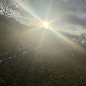 Meet your Posher, Eva